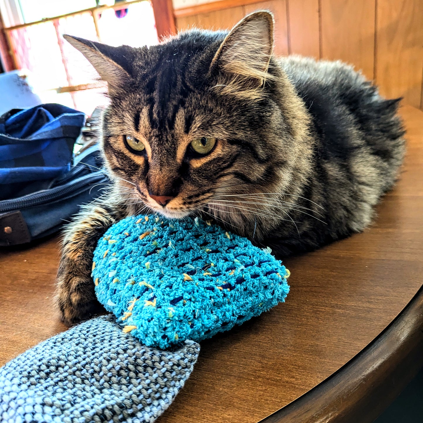 Catnip Kickers Size Large