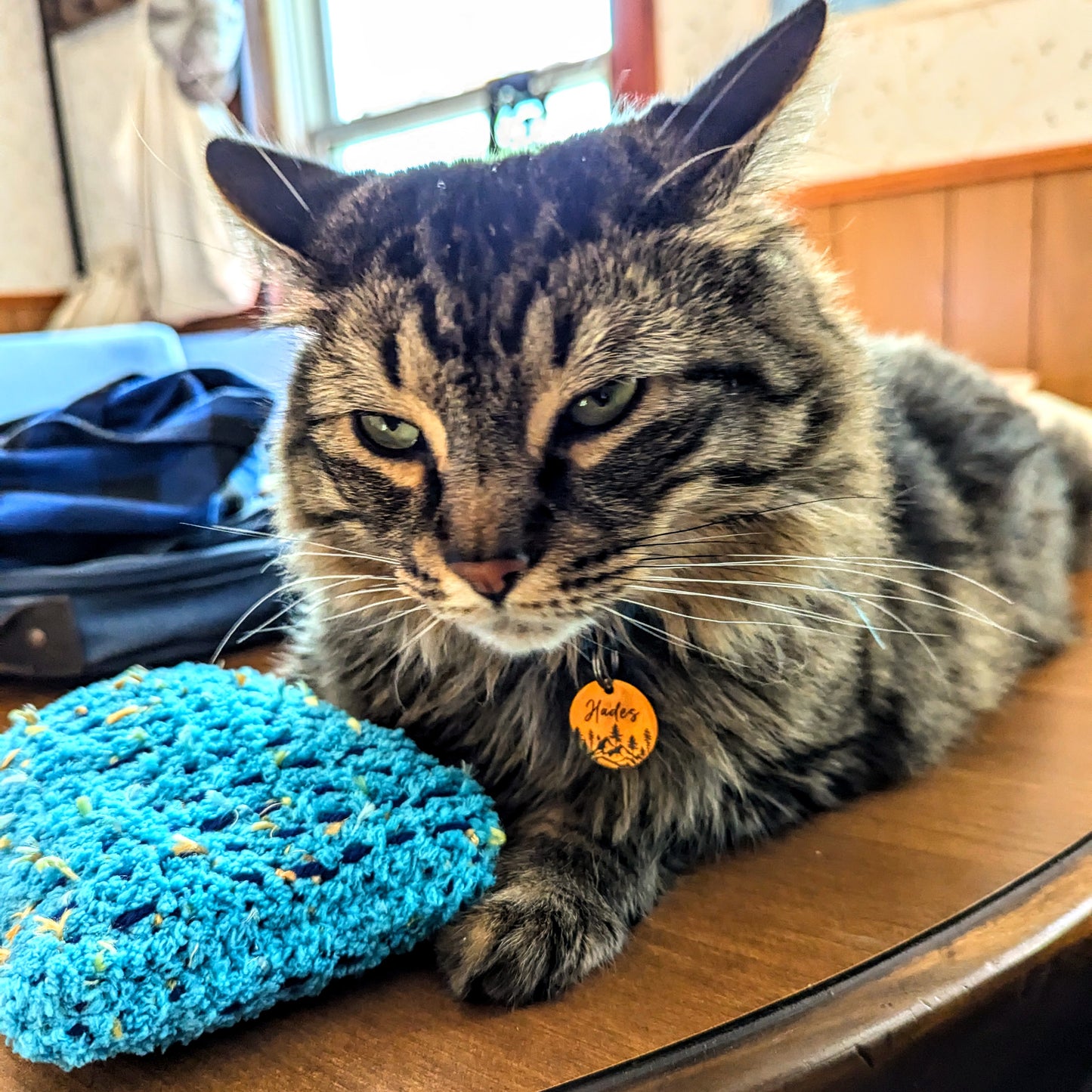 Catnip Kickers Size Large