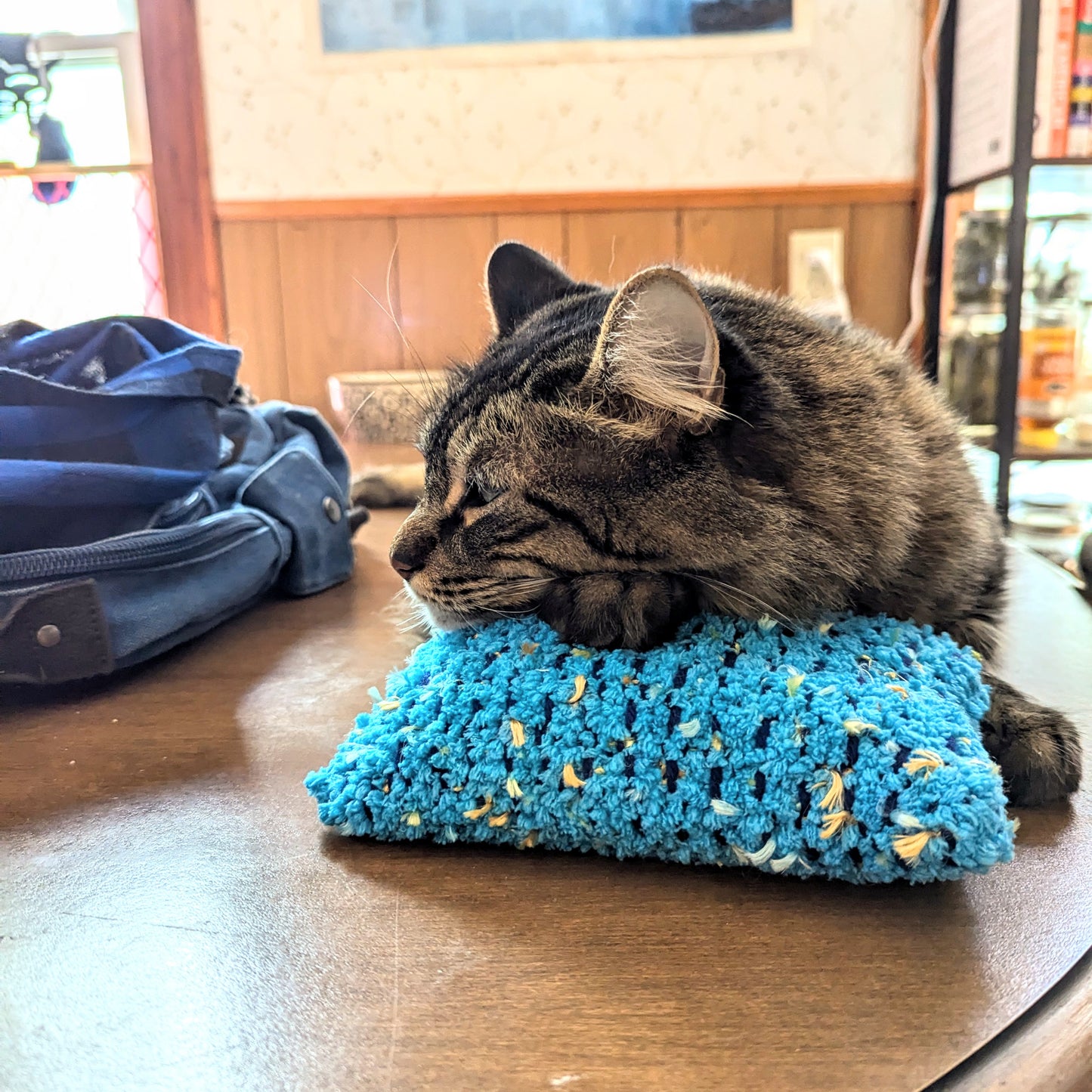 Catnip Kickers Size Large